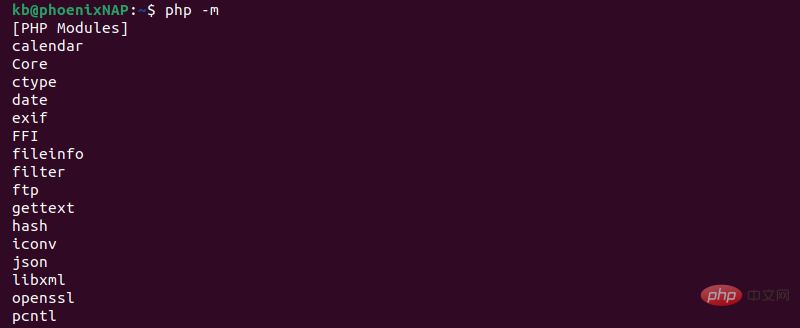 php -v 8.1 terminal output