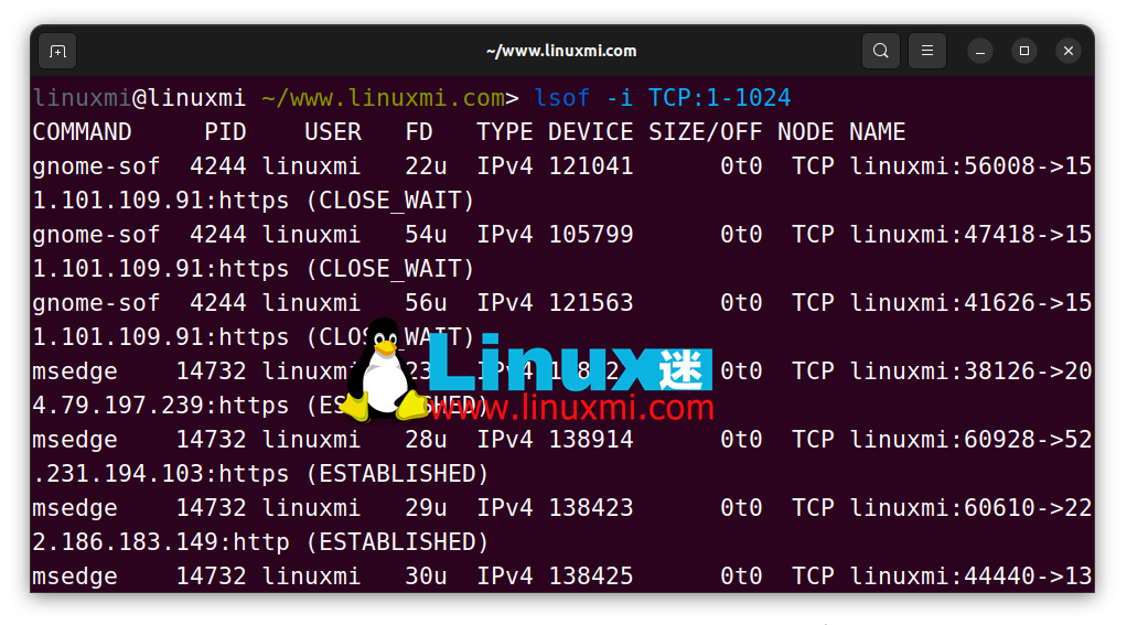 Linux高手必备工具：掌握 LSOF 命令实时监控端口（端口.实时监控.必备）