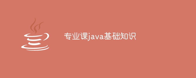 java sprict能提升开发速度吗（提升.速度.开发.java.sprict...）