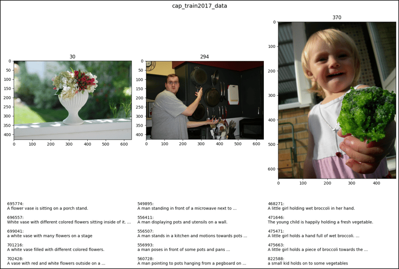 PyTorch 中的 CocoDetection（2）（PyTorch.CocoDetection...）