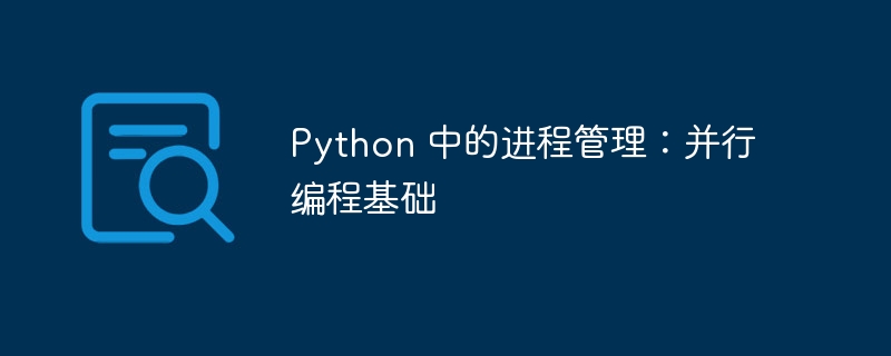 Python 中的进程管理：并行编程基础（并行.进程.编程.基础.管理...）