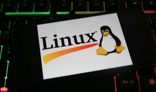 如何在Linux系统中查看网络连接状态？使用netstat和ss命令的详细教程（命令.状态.连接）