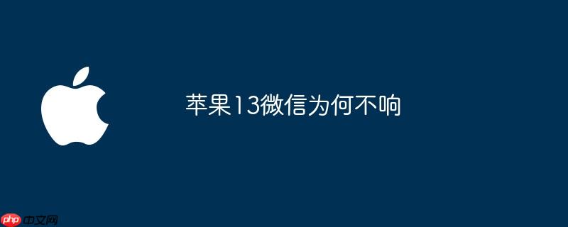 苹果13微信为何不响（不响.苹果）