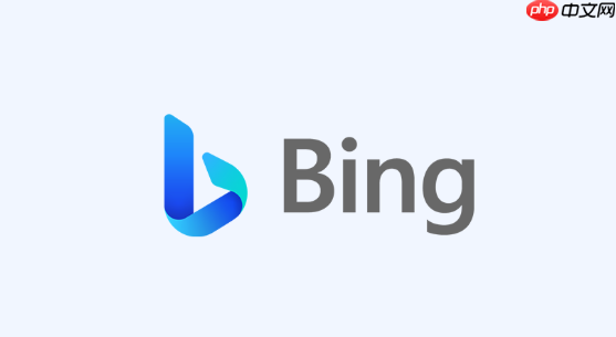 Bing国际版浏览器极速体验版-Bing浏览器国际服轻量化设计官网入口（浏览器.国际版.极速）