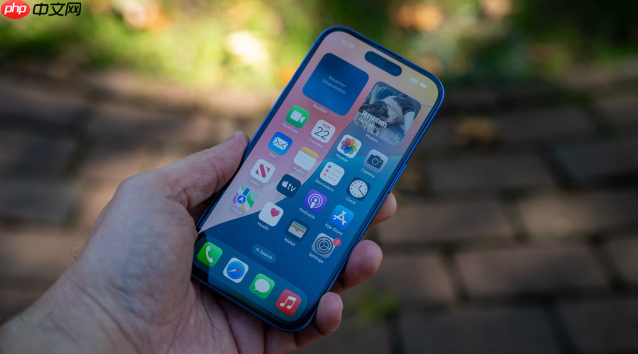 iPhone灵动岛设置全攻略:超易步骤+常见问题秒懂（常见问题.全攻略.灵动）