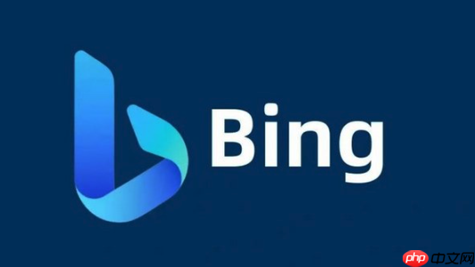 Bing浏览器保存图片在哪里找_Bing图片保存路径与查找方法（保存.图片.路径）