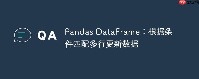 Pandas DataFrame：根据条件匹配多行更新数据（匹配.条件.更新.数据.Pandas...）