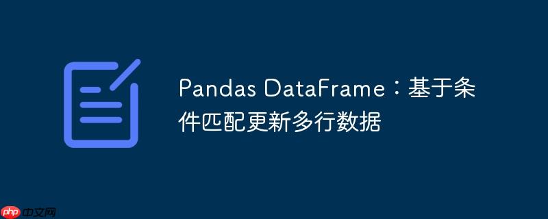Pandas DataFrame：基于条件匹配更新多行数据（匹配.行数.条件.更新.Pandas...）