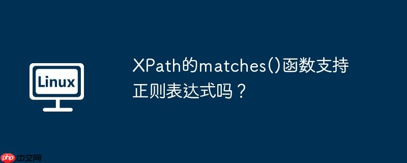 XPath的matches()函数支持正则表达式吗？（函数.支持.正则表达式.XPath.matches...）
