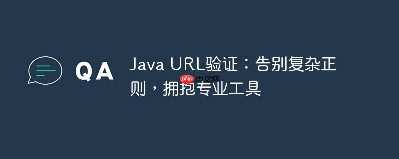 Java URL验证：告别复杂正则，拥抱专业工具（正则.拥抱.告别.验证.工具...）