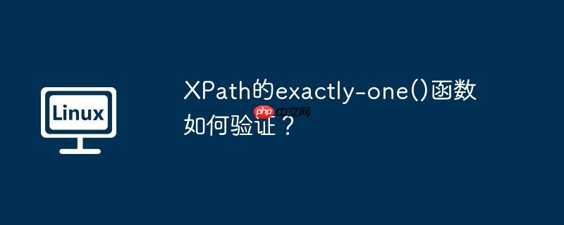 XPath的exactly-one()函数如何验证？（函数.验证.XPath...）