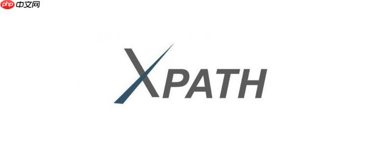XPath的string()函数如何转换节点为字符串？（节点.字符串.函数.转换.XPath...）