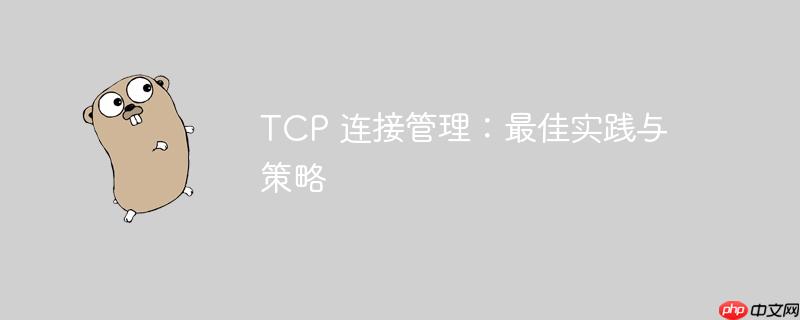 TCP 连接管理：最佳实践与策略（实践.策略.连接.管理.TCP...）