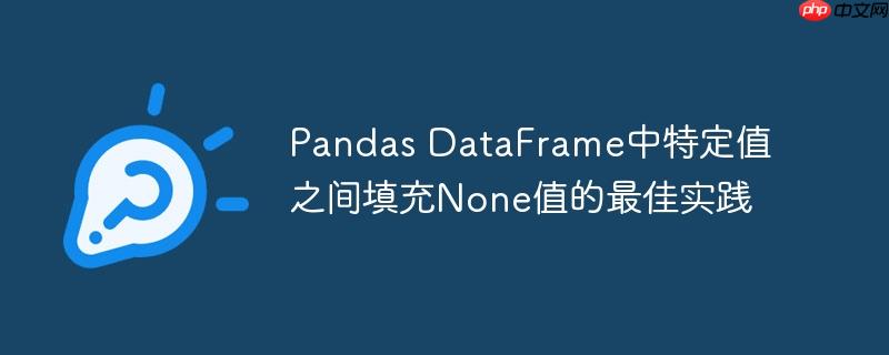 Pandas DataFrame中特定值之间填充None值的最佳实践（中特.填充.实践.定值.Pandas...）