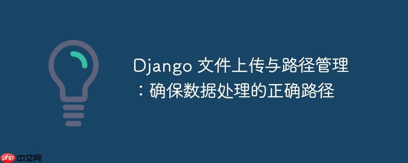 Django 文件上传与路径管理：确保数据处理的正确路径
