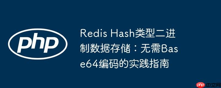 Redis Hash类型二进制数据存储：无需Base64编码的实践指南
