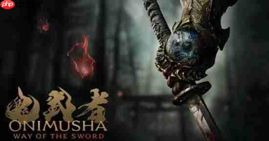 《鬼武者》新作最新主角形象图公布 超帅宫本武藏！