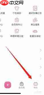 bilibili会员购入口在哪里