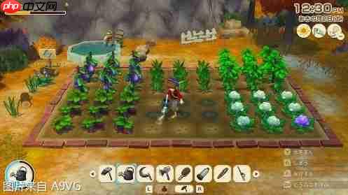 《牧场物语 来吧!风之繁华集市》全球累计出货量突破50万