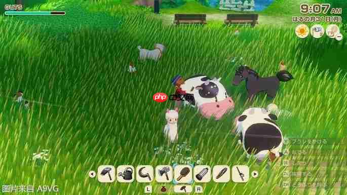 《牧场物语 来吧!风之繁华集市》全球累计出货量突破50万