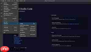 vscode怎么关闭项目文件夹(文件夹.关闭.项目)