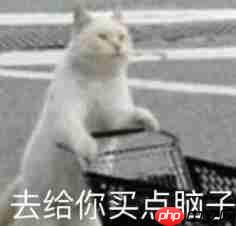 对话逐际动力张巍：造机器人很容易，关键是用起来 