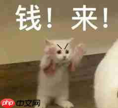  对话逐际动力张巍：造机器人很容易，关键是用起来 
