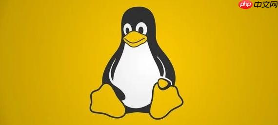 Linux如何查看当前的网络连接情况（连接.情况.查看.网络.Linux...）