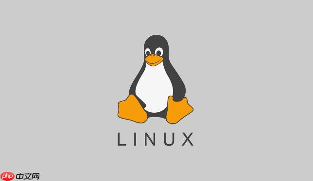 Linux如何查看网络接口的MAC地址(接口.地址.查看.网络.Linux...)