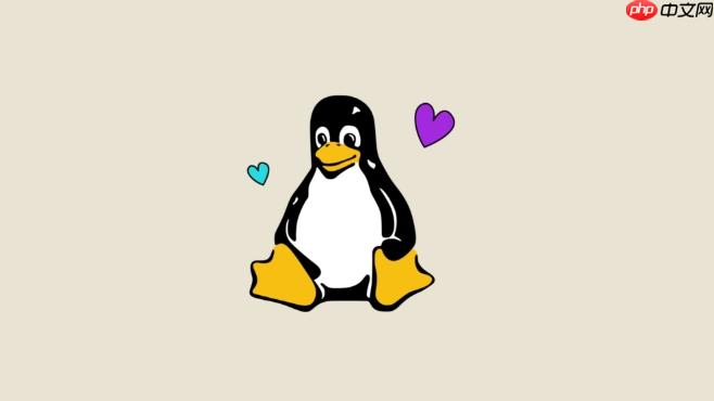 Linux如何查看当前的IP地址配置