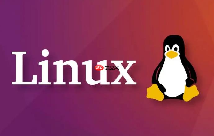 Linux怎么配置本地DNS服务器地址（配置.地址.服务器.Linux.DNS...）