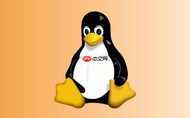 Linux如何检测本地网络冲突问题(冲突.检测.网络.Linux...)