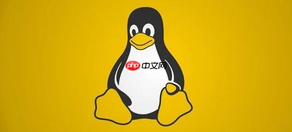 Linux如何查看正在运行的进程(正在运行.进程.查看.Linux...)