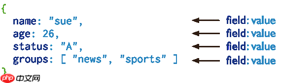 这次简单多了,最新版 MongoDB 安装