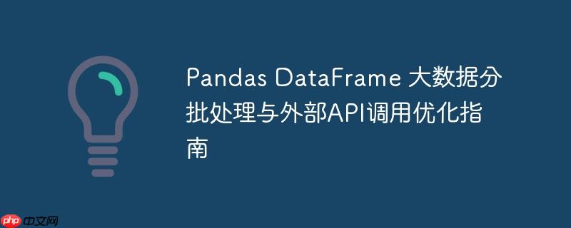 Pandas DataFrame 大数据分批处理与外部API调用优化指南(分批.调用.优化.指南.数据...)