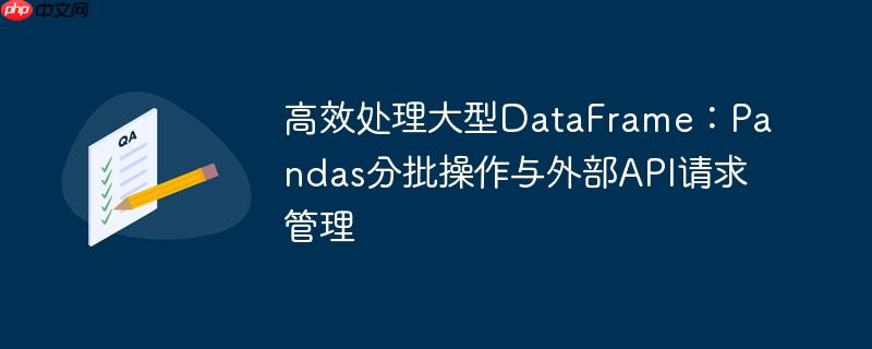 高效处理大型DataFrame:Pandas分批操作与外部API请求管理