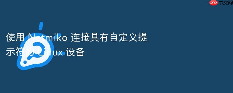 使用 Netmiko 连接具有自定义提示符的 Linux 设备(提示符.自定义.连接.设备.Netmiko...)
