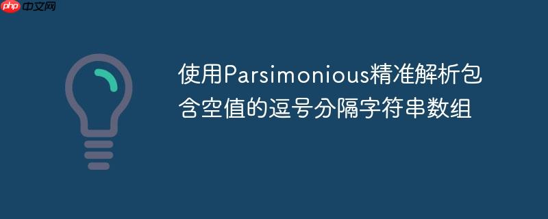 使用Parsimonious精准解析包含空值的逗号分隔字符串数组
