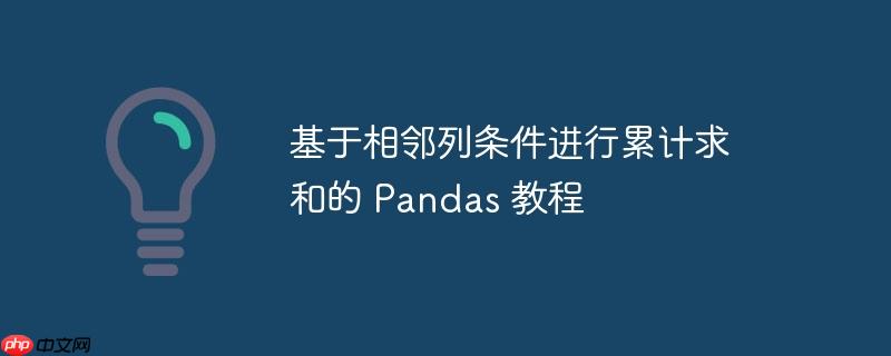 基于相邻列条件进行累计求和的 Pandas 教程(求和.相邻.累计.条件.教程...)