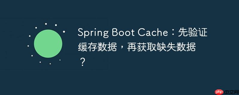 Spring Boot Cache:先验证缓存数据,再获取缺失数据?(数据.缺失.缓存.获取.验证...)