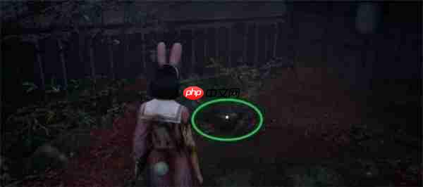 寂静岭f狐仙纹章箱子全收集指南