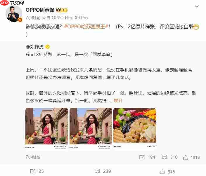画质革命!OPPO Find X9 系列释出 2 亿像素样张(样张.画质.像素)