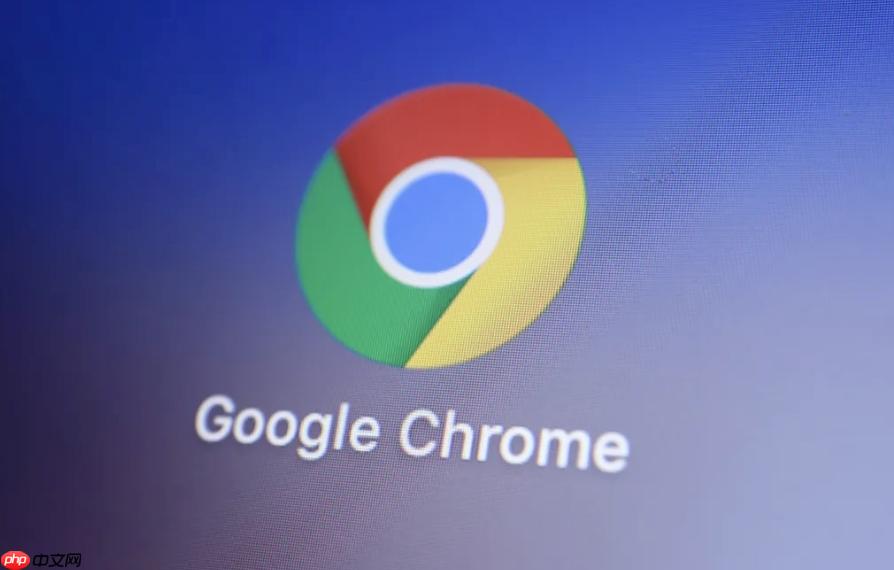 Chrome浏览器怎么管理网站权限_Chrome浏览器网站权限设置与管理指南(权限.浏览器.设置)