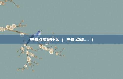 王者点播是什么 ( 王者,点播.... )