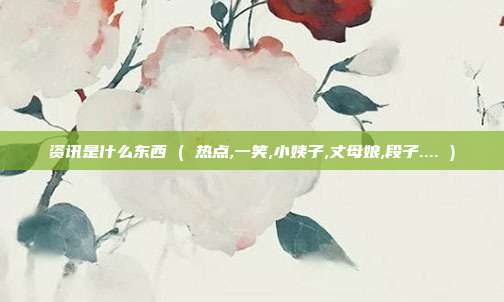 资讯是什么东西 ( 热点,一笑,小姨子,丈母娘,段子.... )