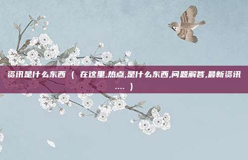 资讯是什么东西 ( 在这里,热点,是什么东西,问题解答,最新资讯.... )