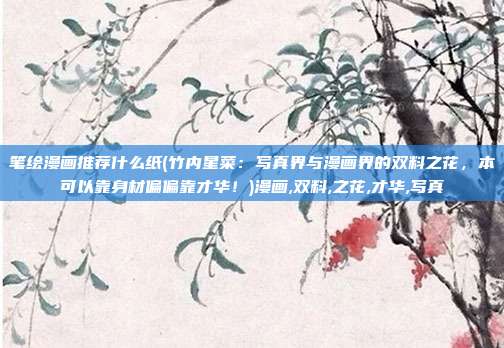 笔绘漫画推荐什么纸(竹内星菜：写真界与漫画界的双料之花，本可以靠身材偏偏靠才华！)漫画,双料,之花,才华,写真