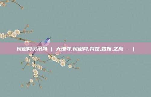 凤凰网资讯网 ( 大理寺,凤凰网,我在,姑妈,之流.... )