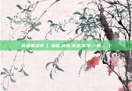 商业壹资讯 ( 就在,商业,不出,车顶,一夜.... )