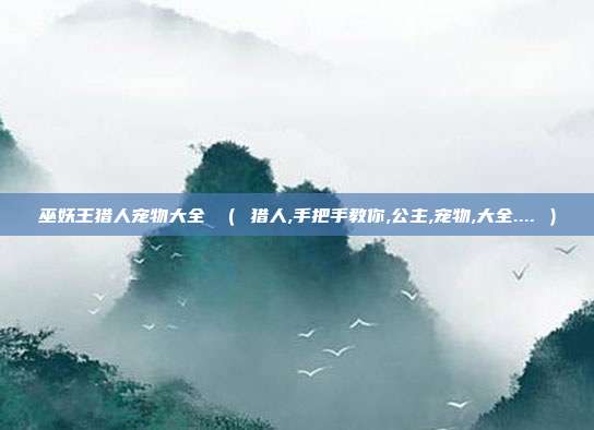 巫妖王猎人宠物大全 （ 猎人,手把手教你,公主,宠物,大全.... ）